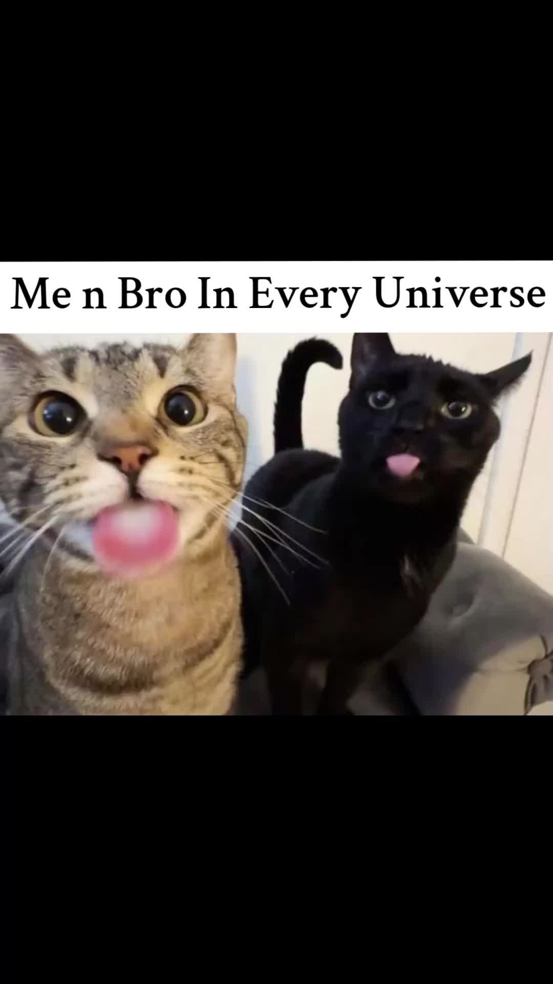 @AK ✝️ ♧