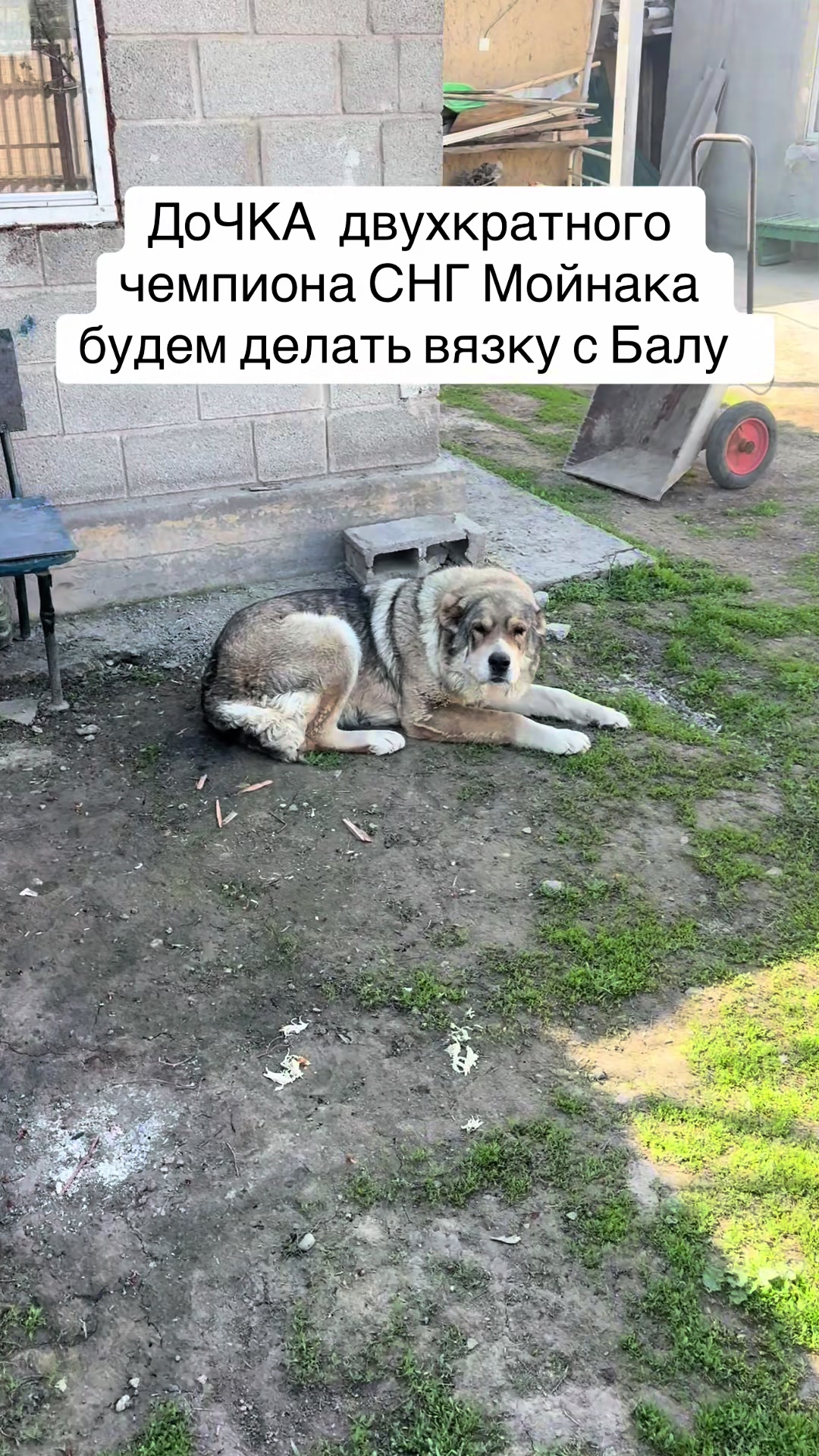 @БАЛУ