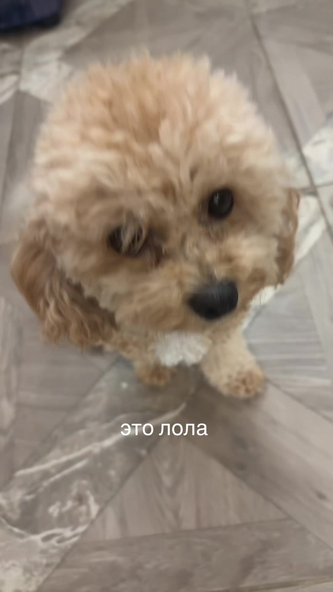 @орина