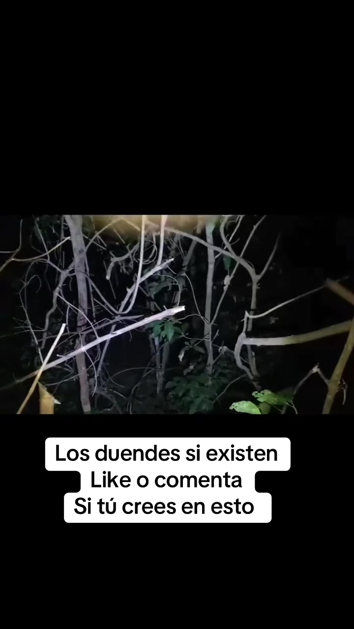 @Cuentos de Terror
