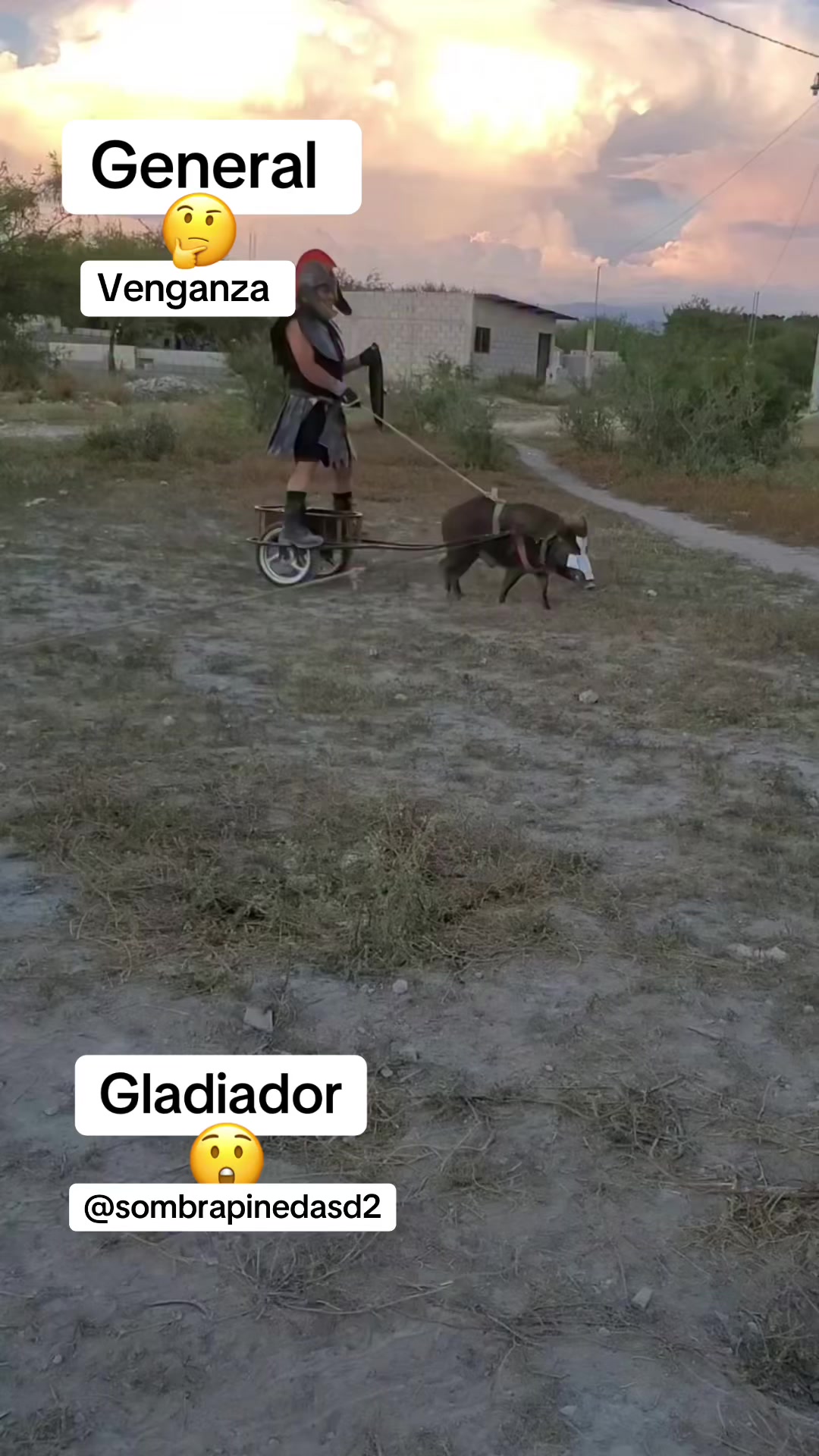 @SOMBRApinedaSD2