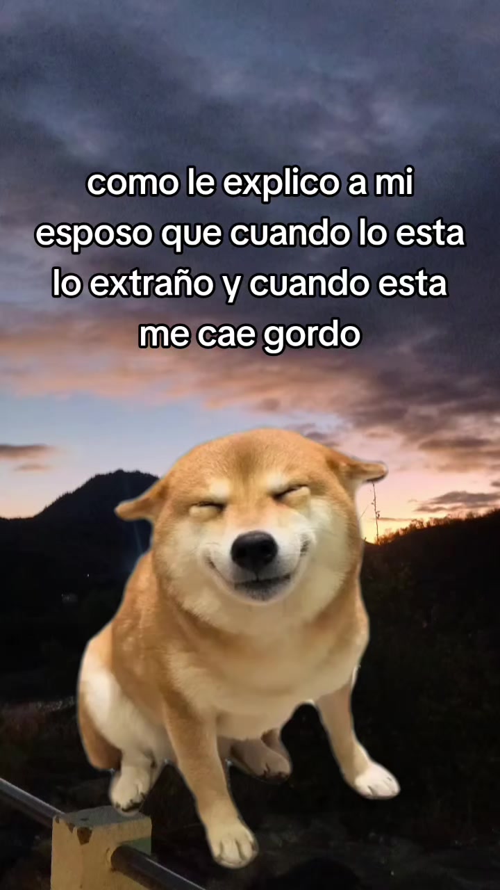 @Flor de María✨️