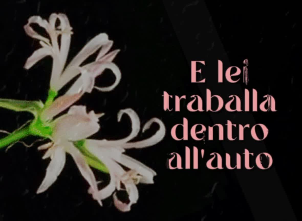 @❦._.✿