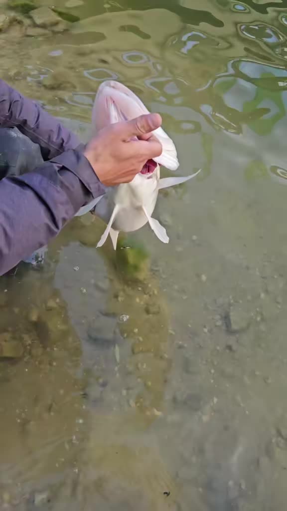 @🎣Max.Fishing27🎣