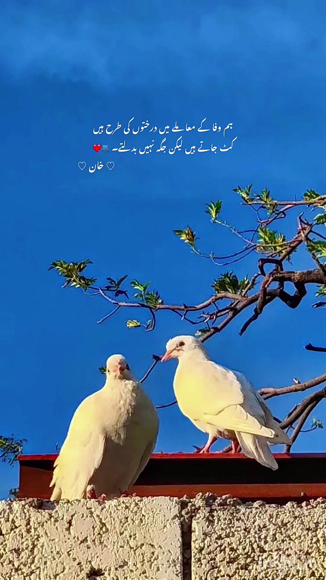 @خان بادشاہ 🥷🏾