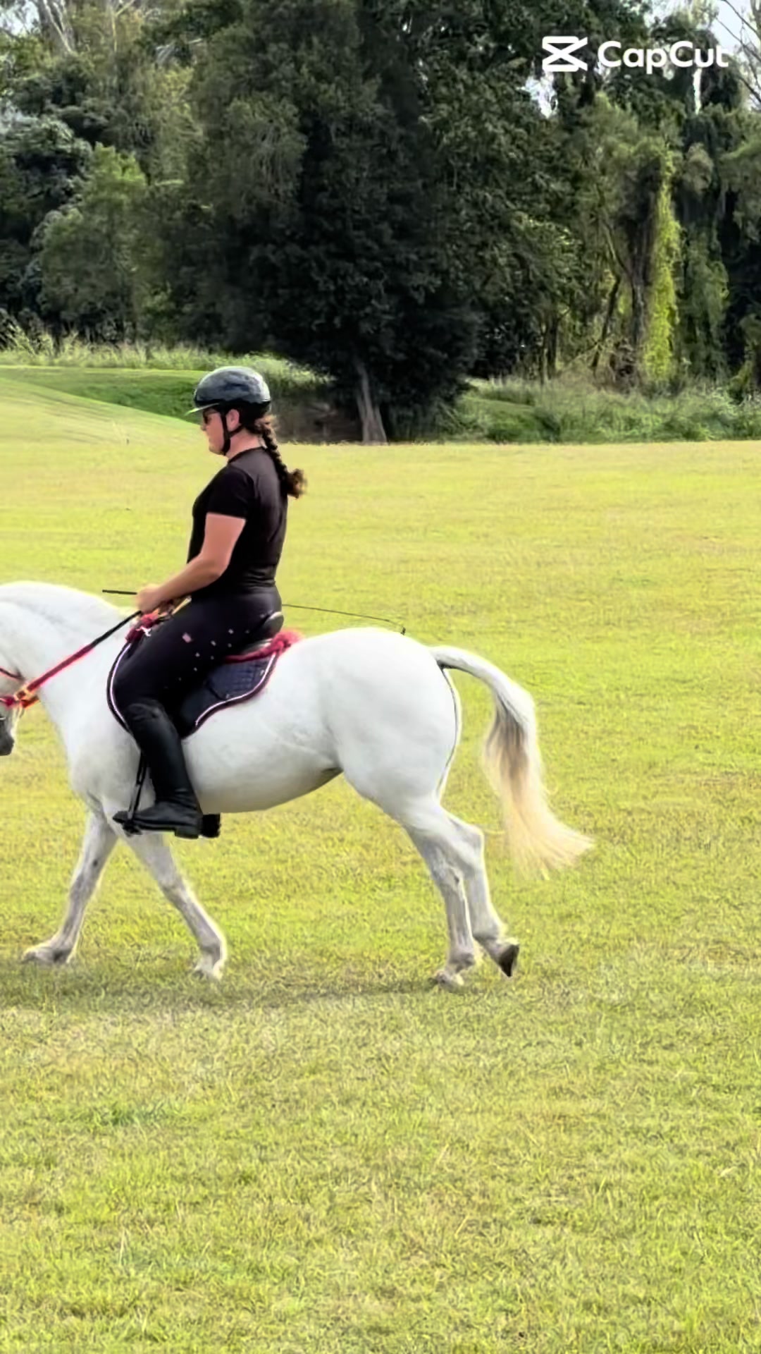 @Lola_is_my_pony