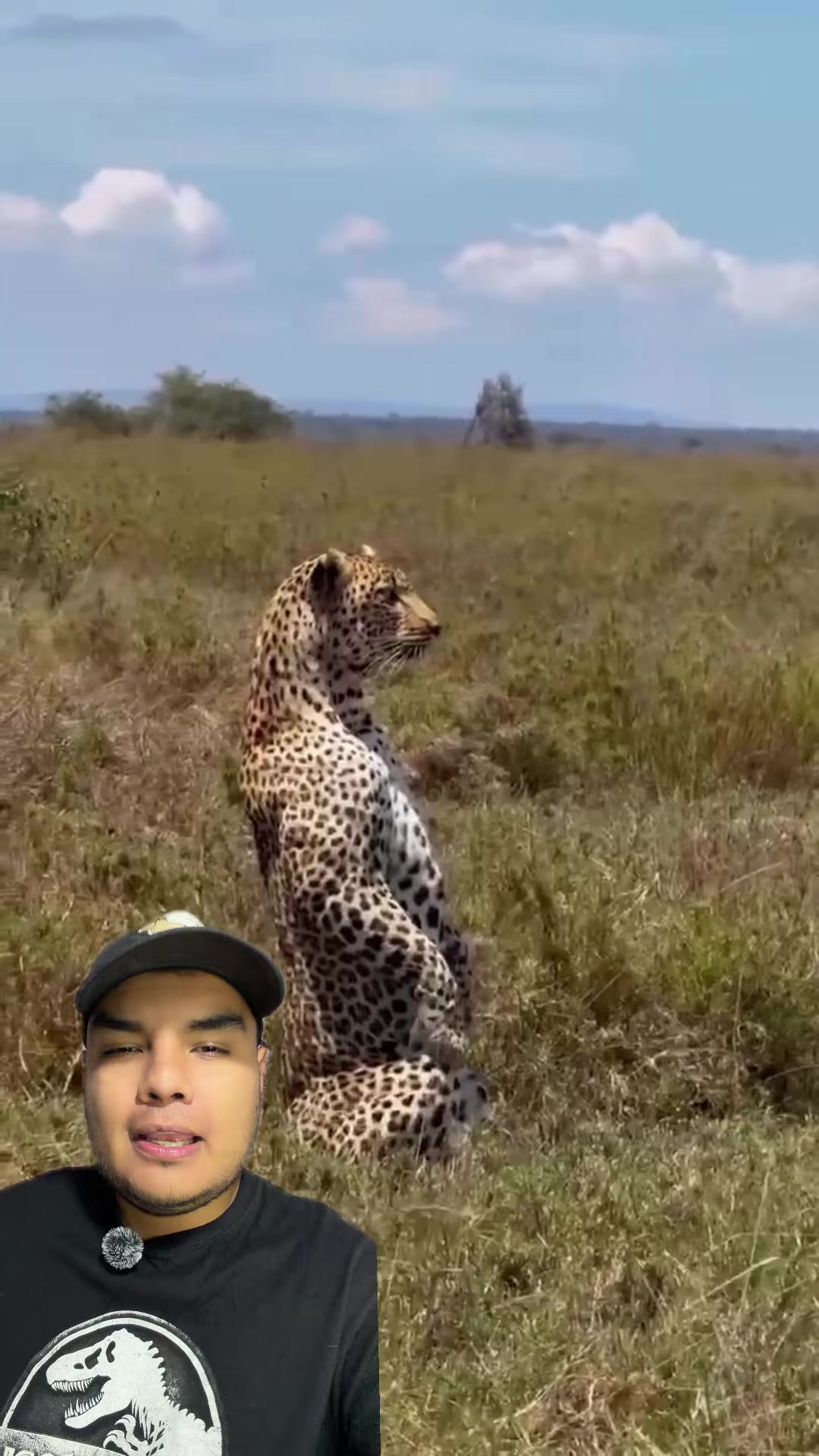 @Jair Herrera 🐆