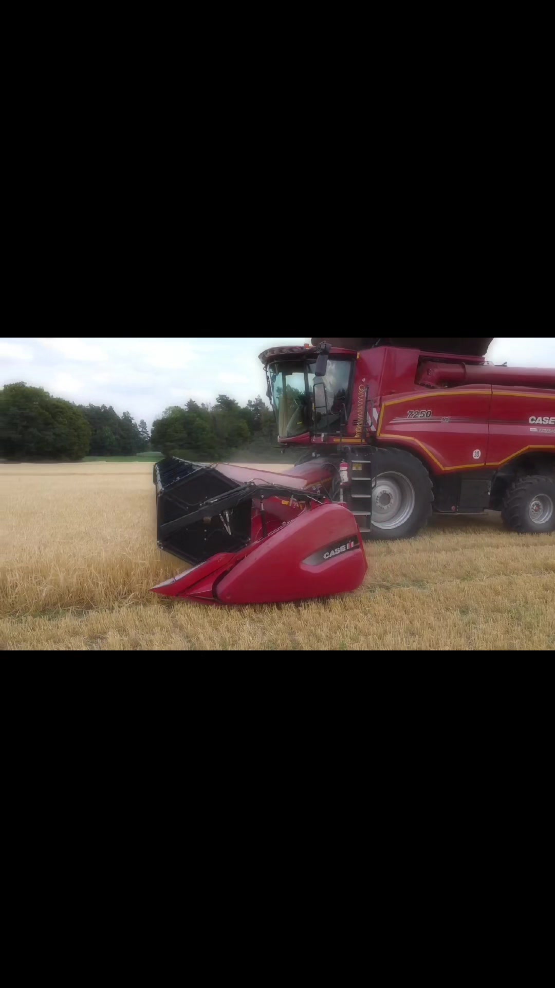 @Bauer Richter 🐱🚜
