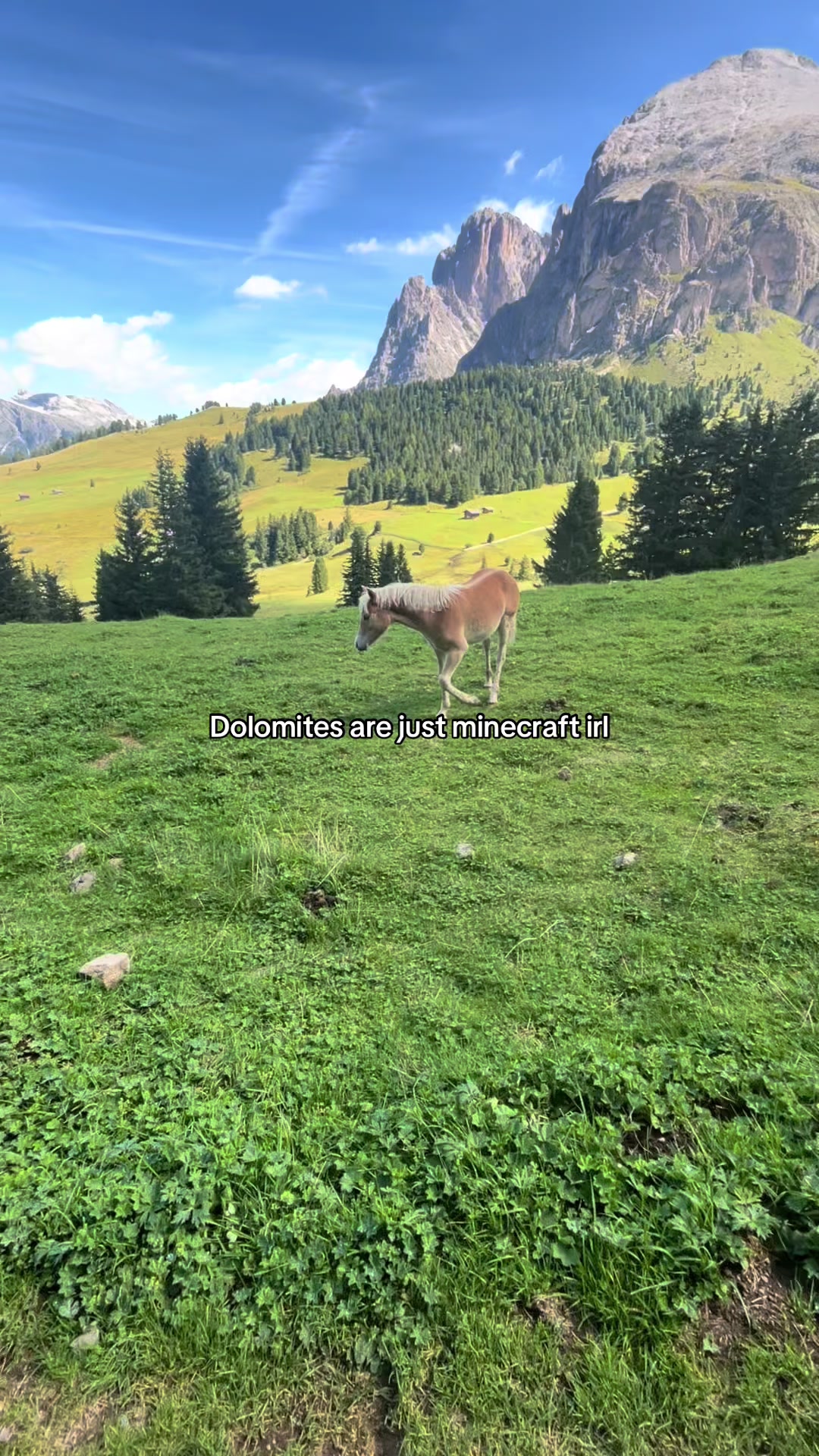 @Sweder🏔️