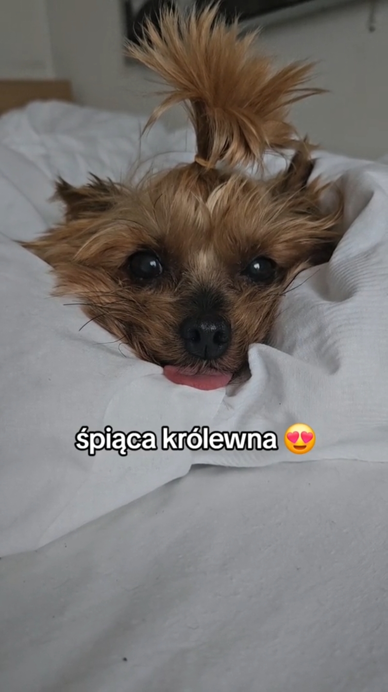@Ewelina Bednarska