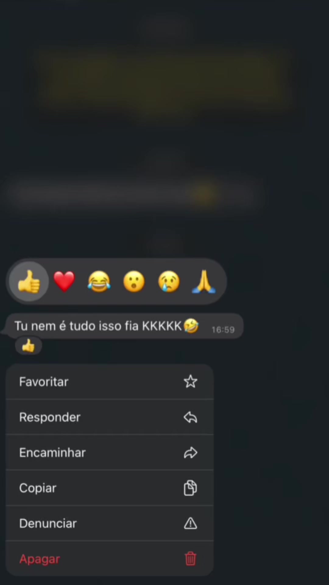 @Laylinha 💫