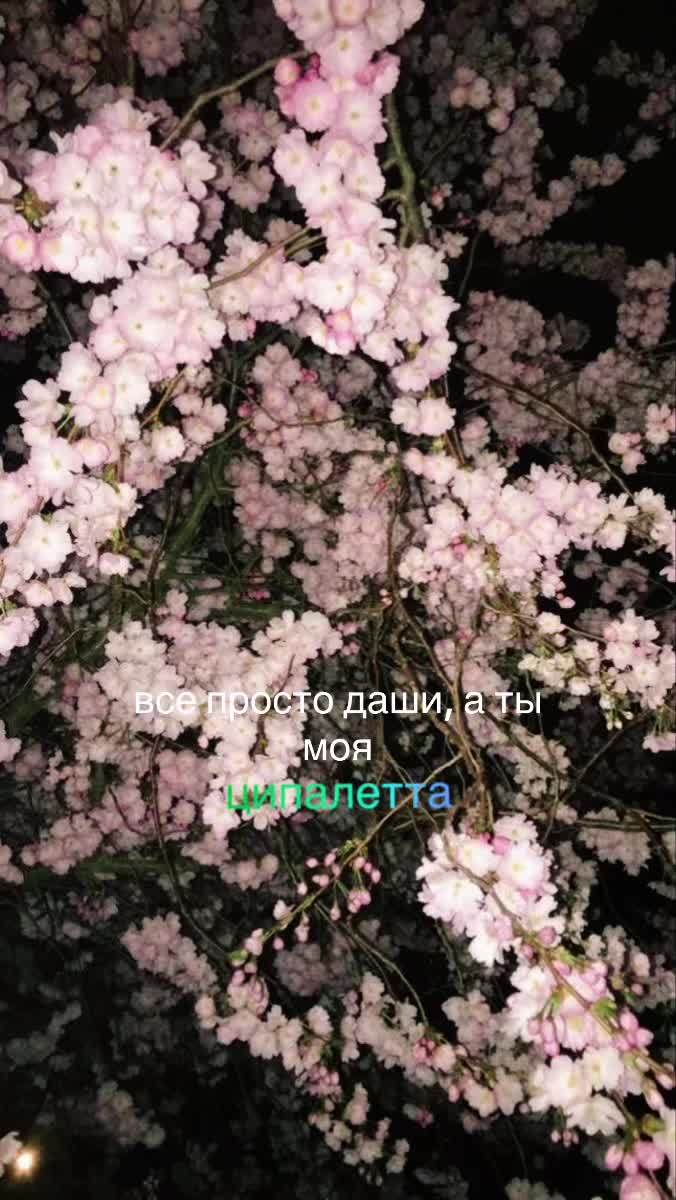 @люблю дашу