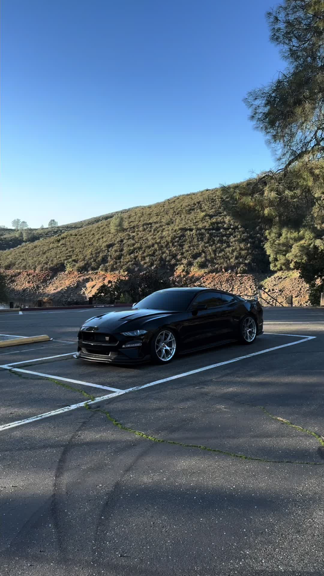 @Carlost