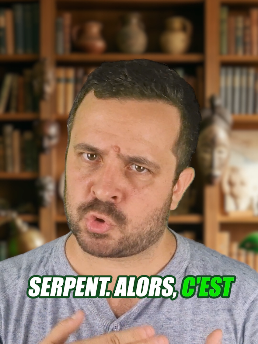 @Vico-Le Savais tu ?
