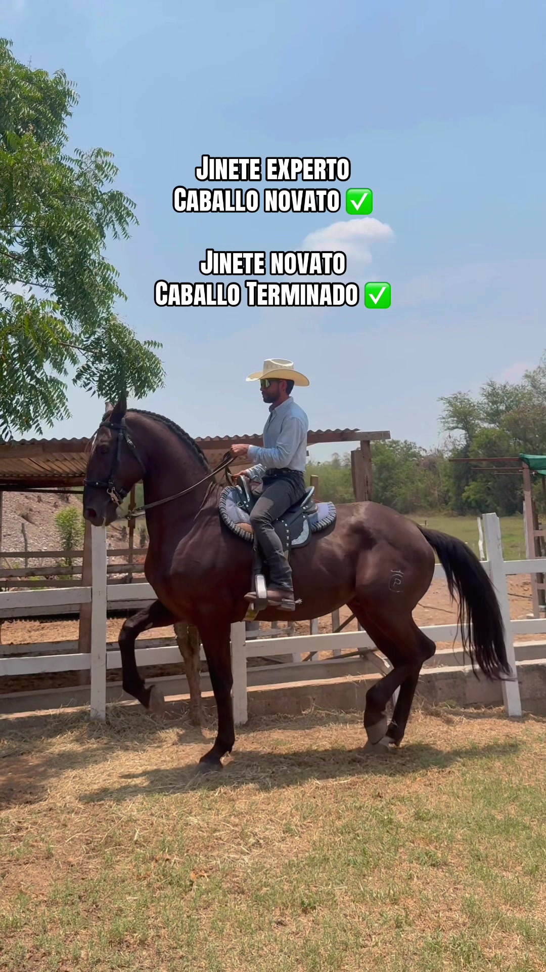 @reydelcaballo.gt