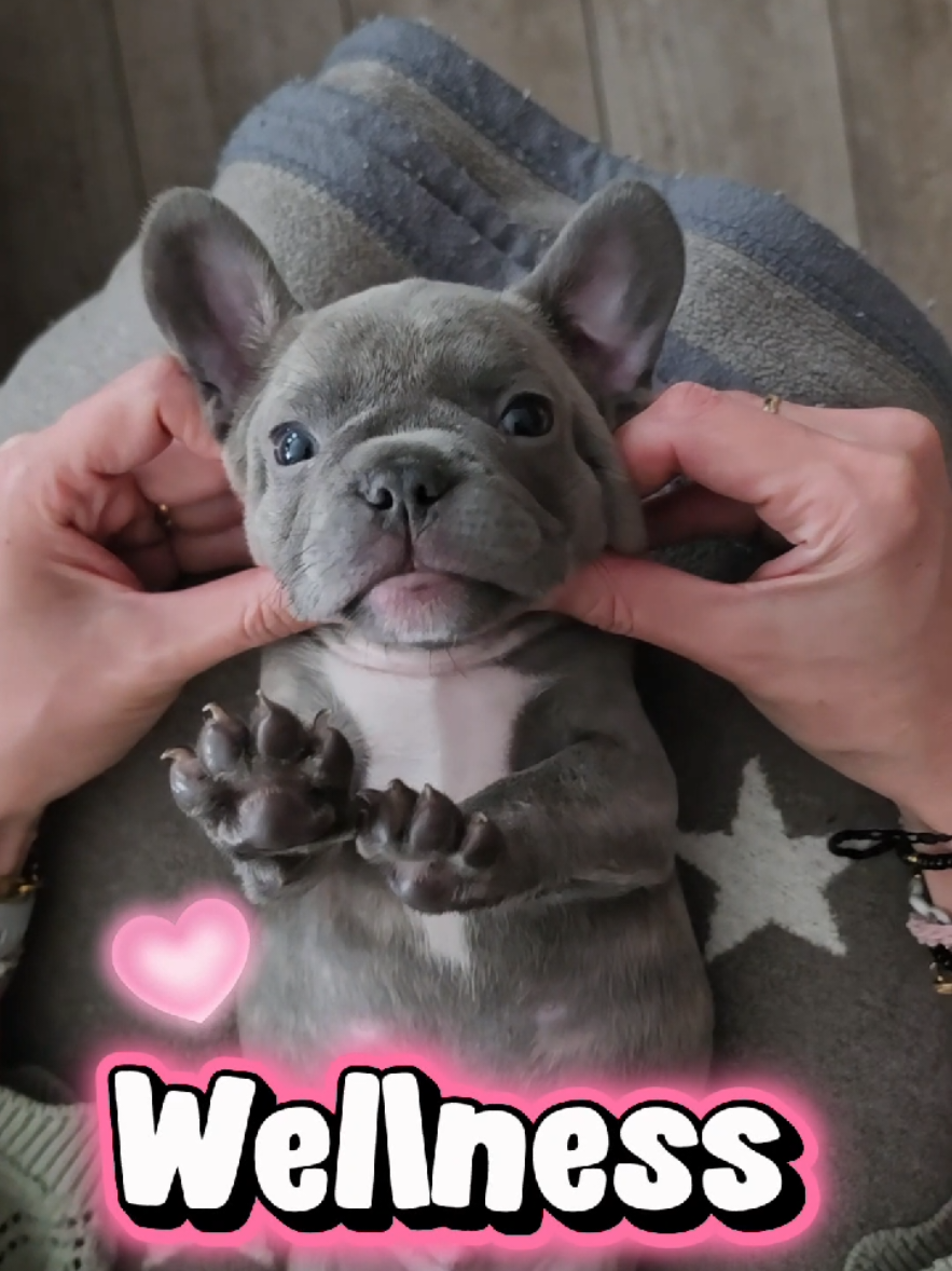 @greta_soistmeinlebenhalt