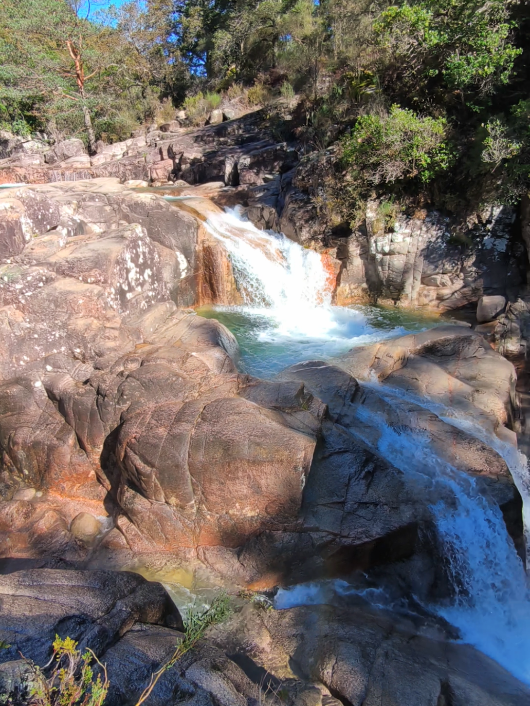 @Ger&ecirc;s Vibes