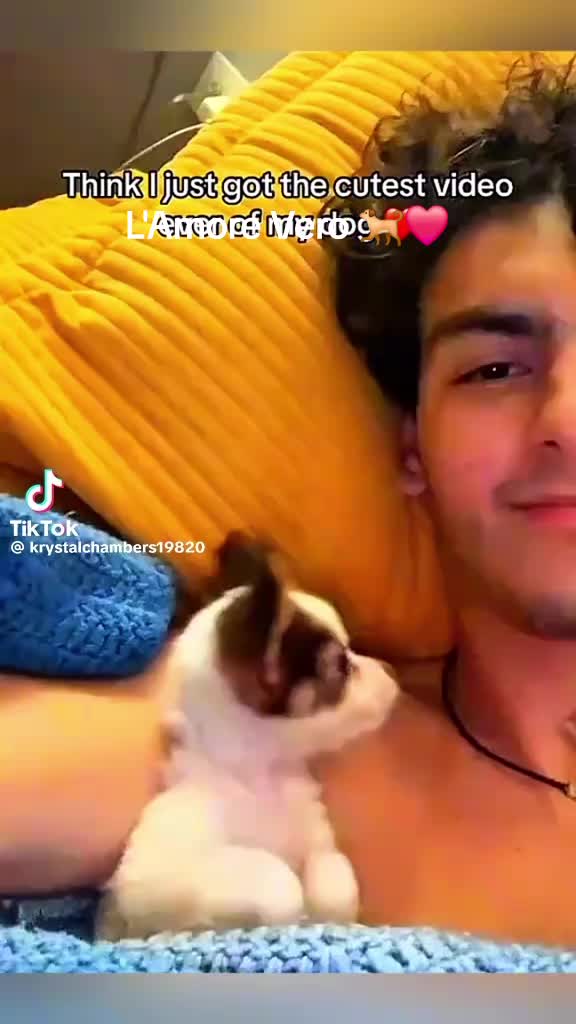 @angelicadejame