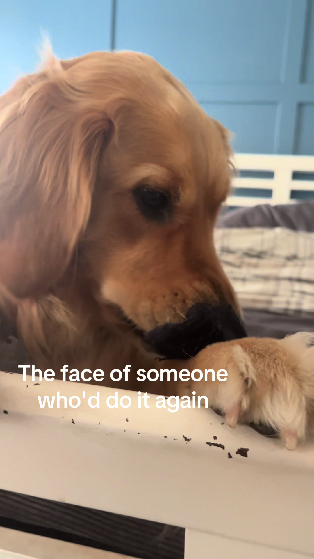 @Winnie the Golden Girly