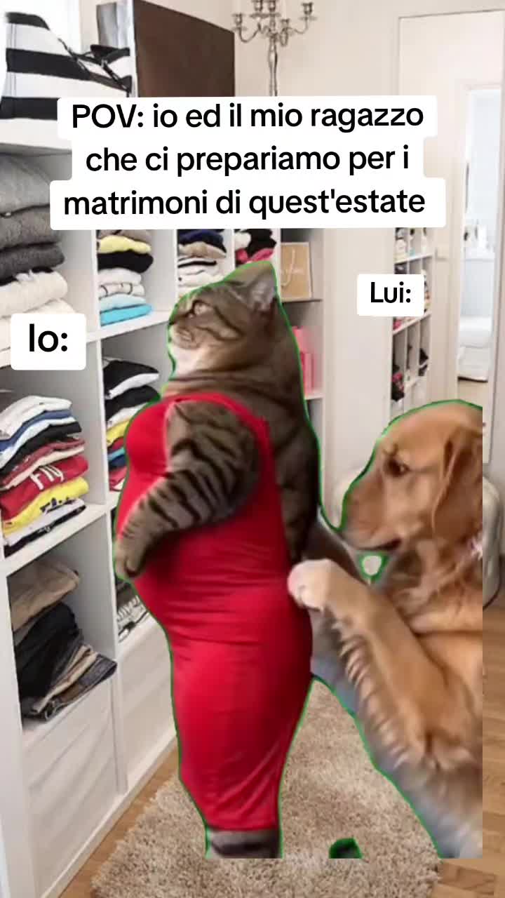 @Catzatte