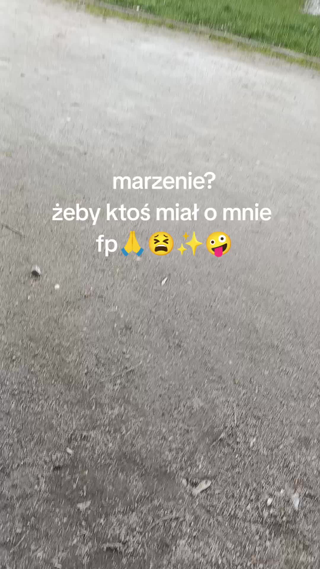 @🔥💯zvziaa_horse💯🔥