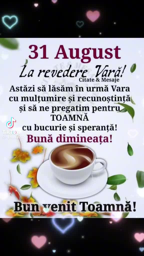 @Ifrim Lacramioara