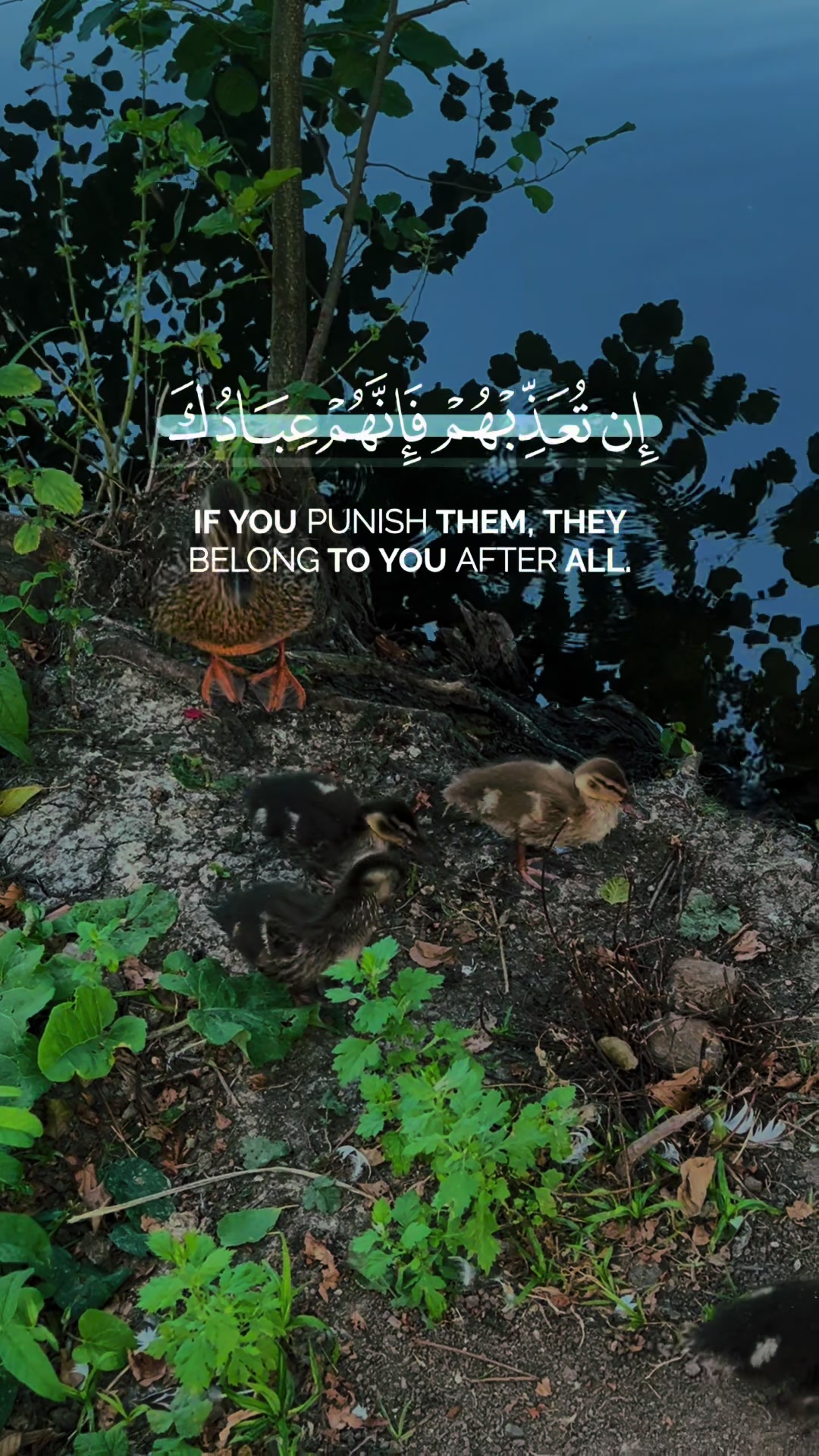 @🇩🇪𝒜ℒℐ🇸🇾