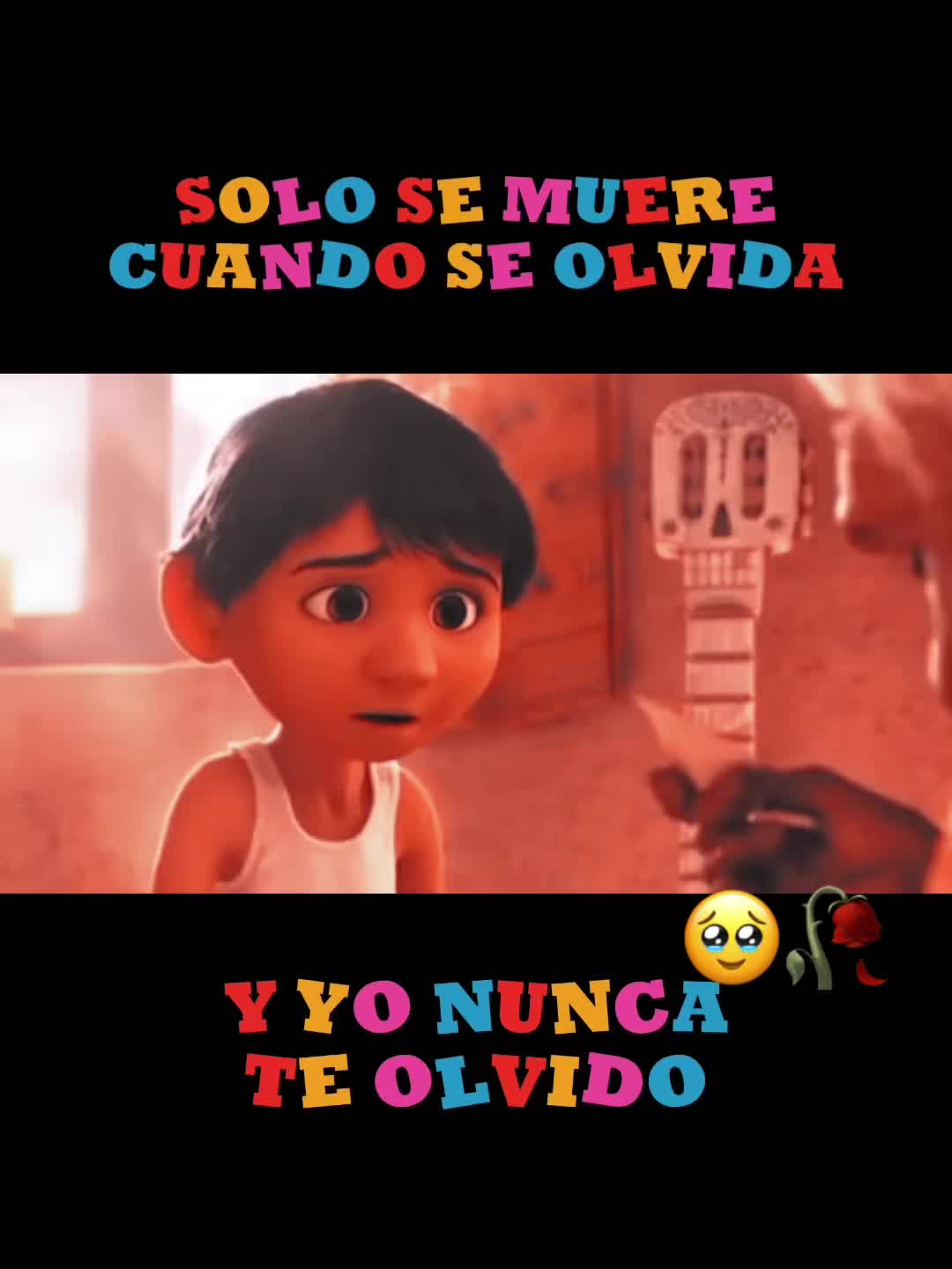 @sofi❤️🌹