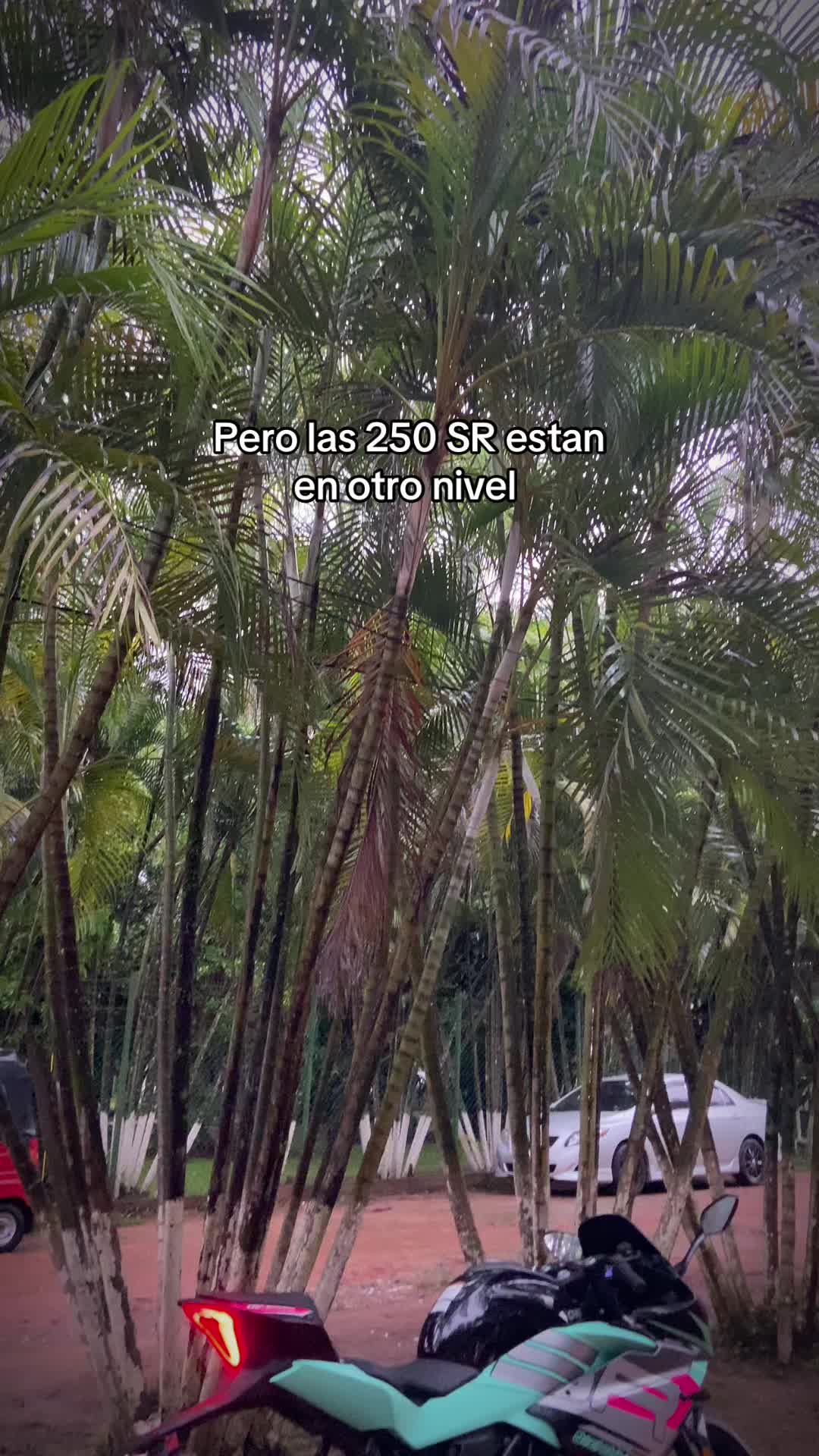 @Chiki_loco