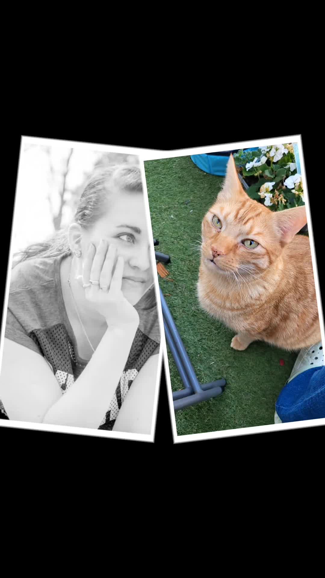 @😸 Alex 😸