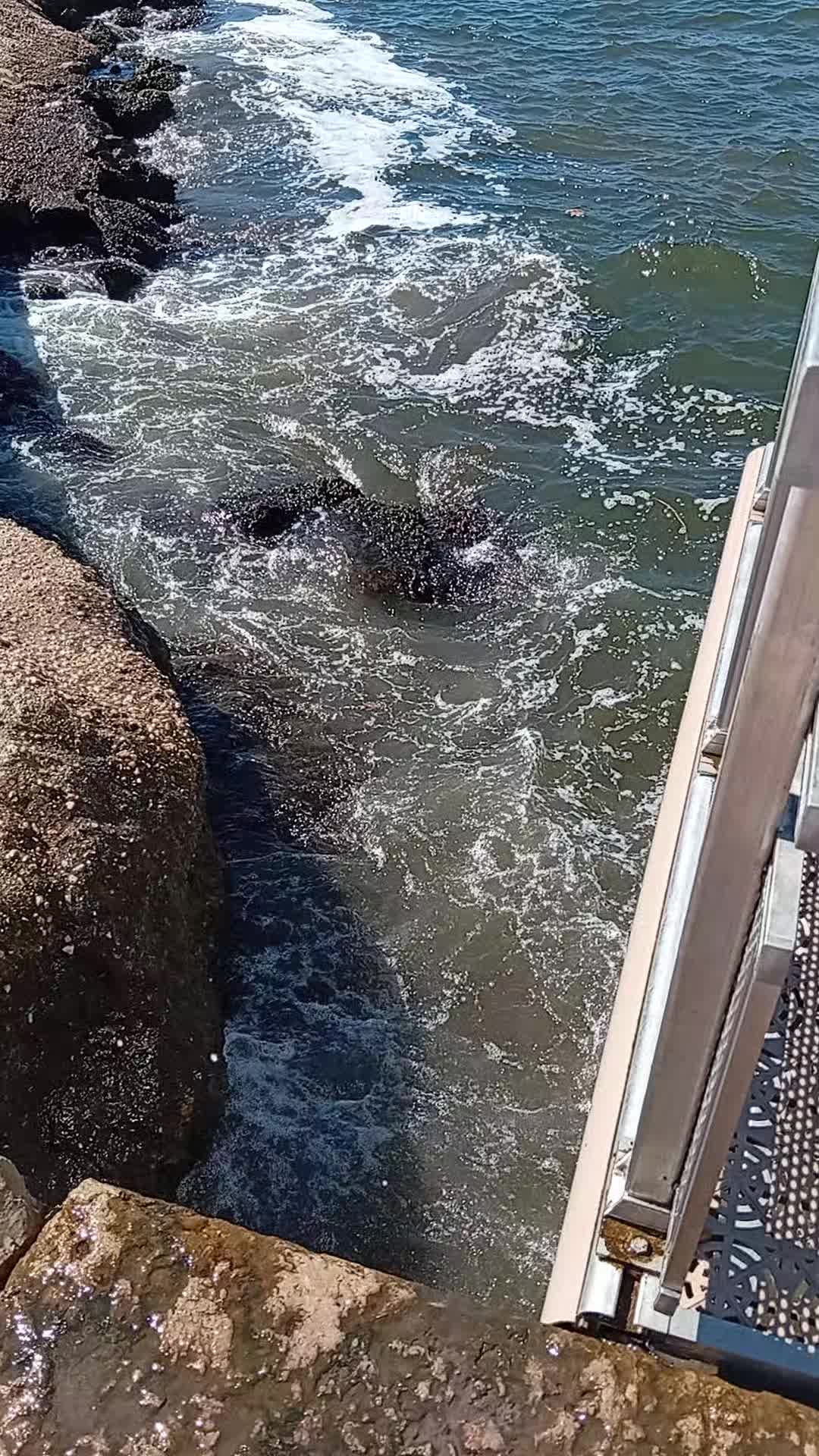 @𝘚𝘶𝘱𝘦𝘳 𝘗𝘩𝘪𝘯𝘰𝘶