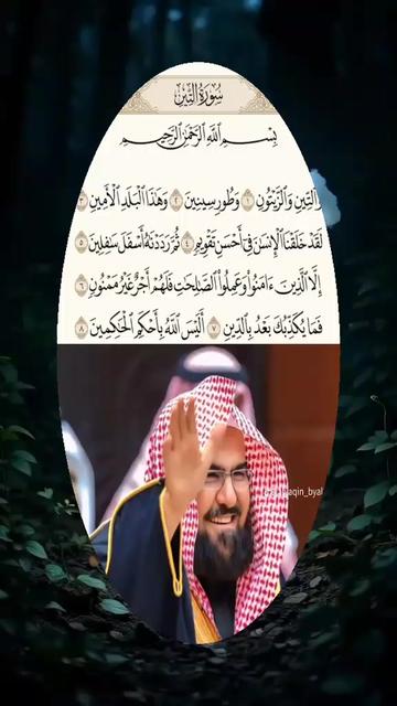@alassane hamet sow