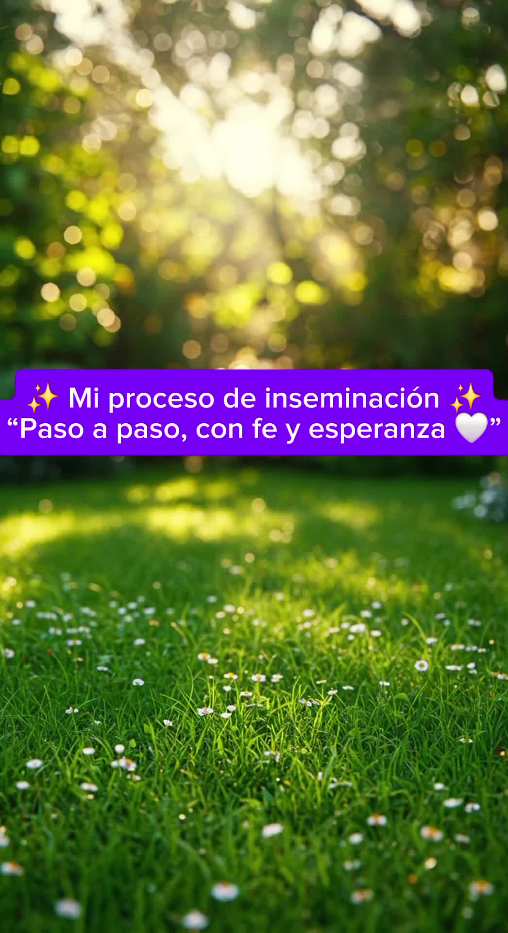 @Mi camino a la maternidad