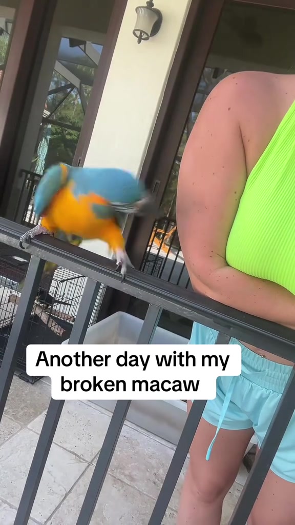 @Crazycaimanlady