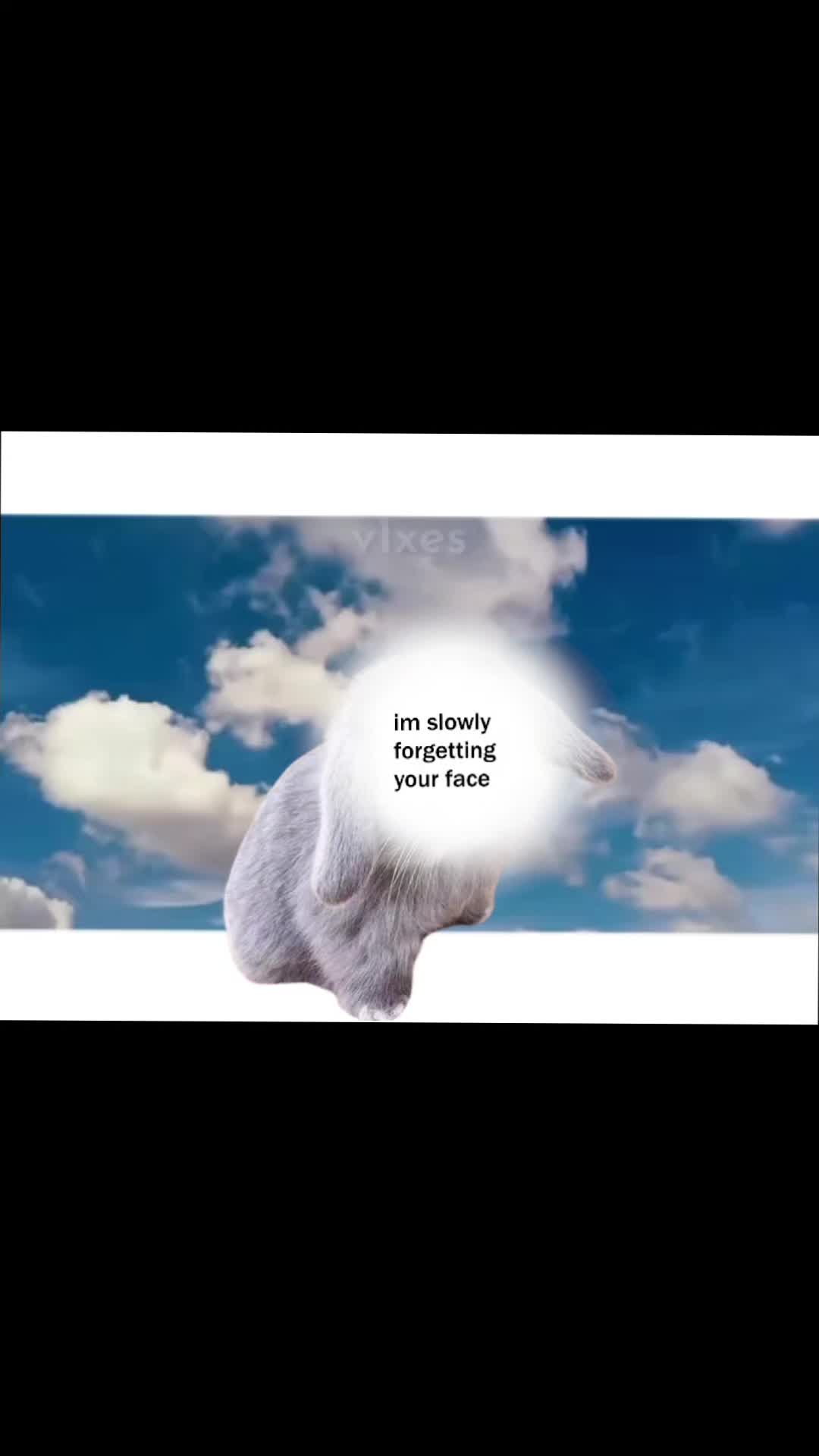 @Андрей Чикатиликс🎀 футджобер