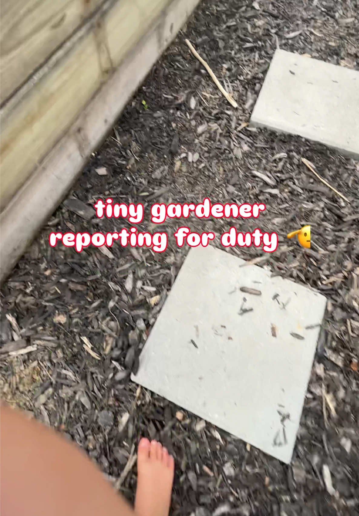 @EMILY