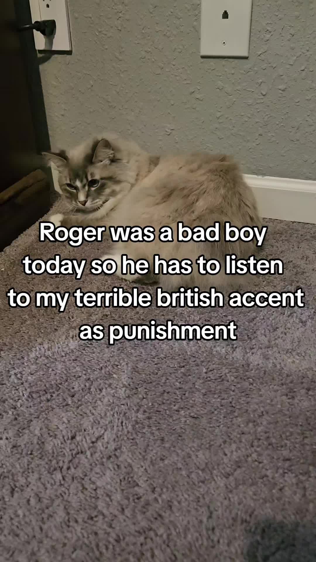 @rogerbiscuits