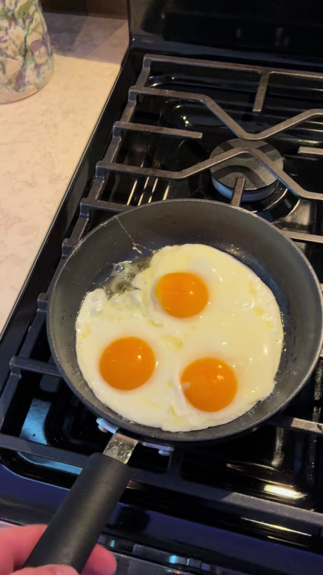 @Egg Sheeran