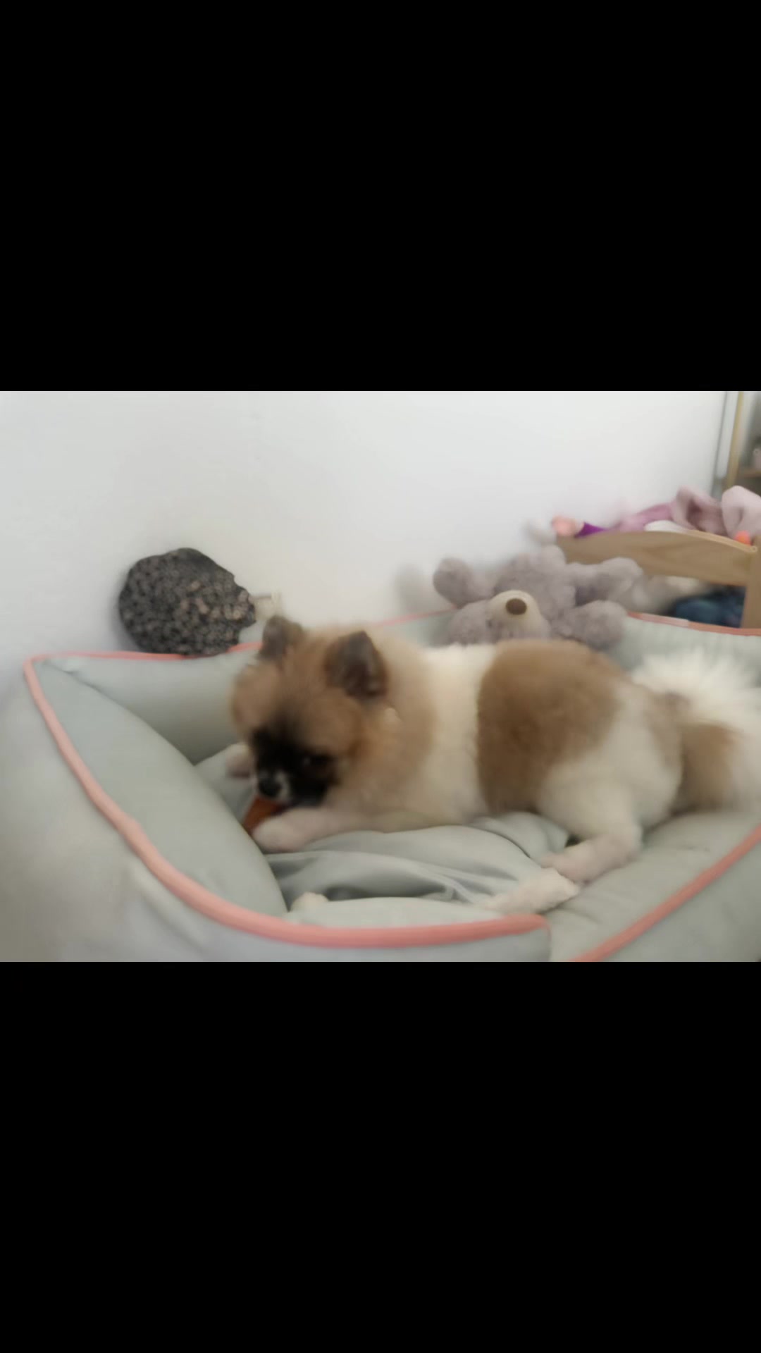 @mocxkrt