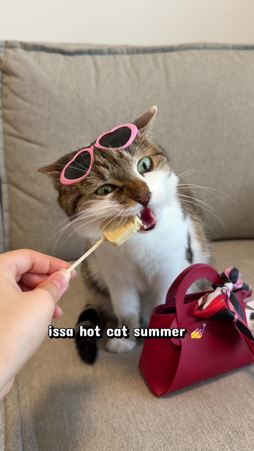 @Suki Purrs