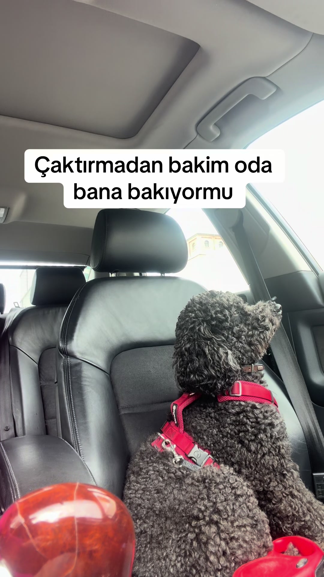 @Pascha