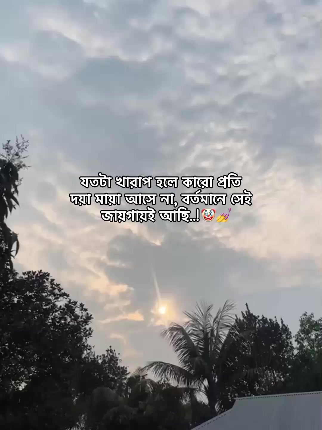 @⁷𝐇𝐚𝐦𝐢𝐝𝐚◡🧃