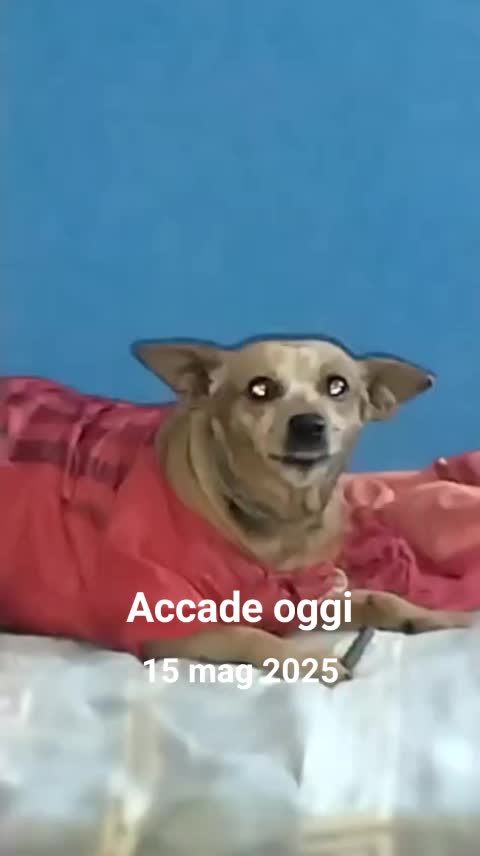 @lucry