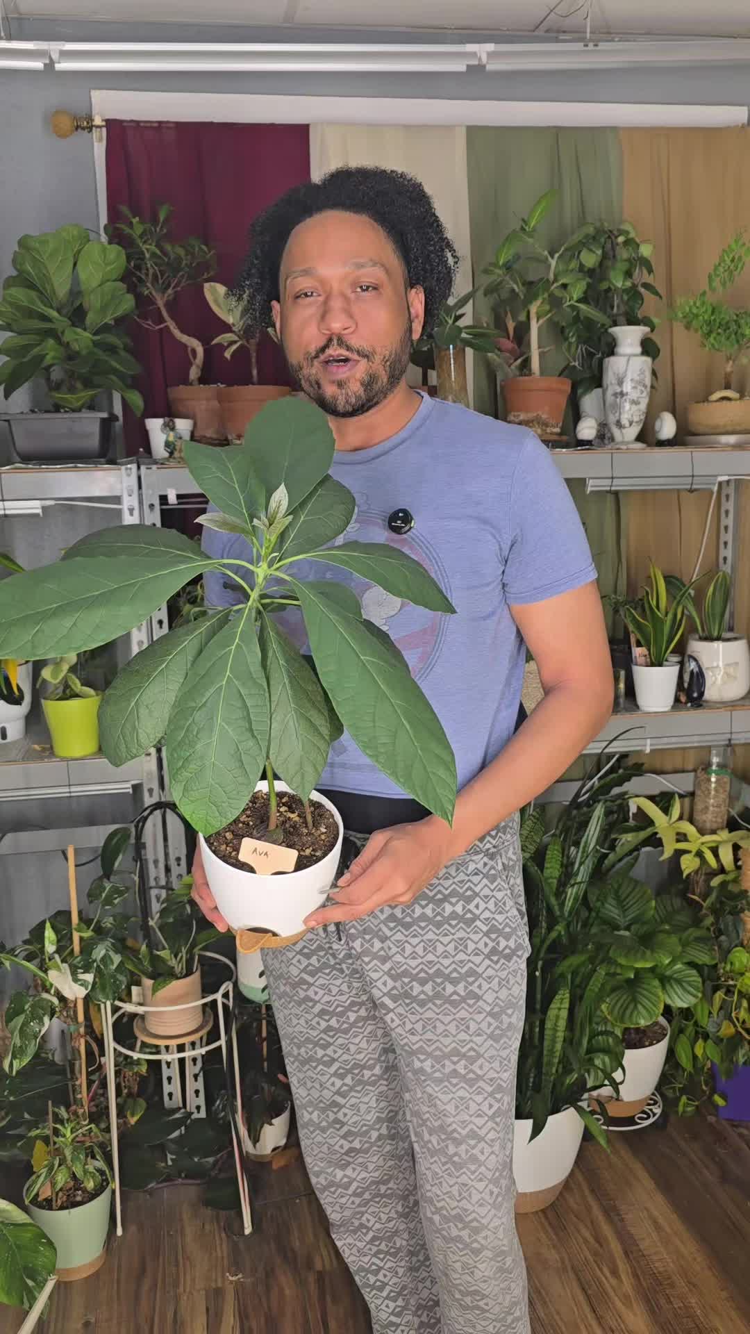 @JT - BigEGOPlants