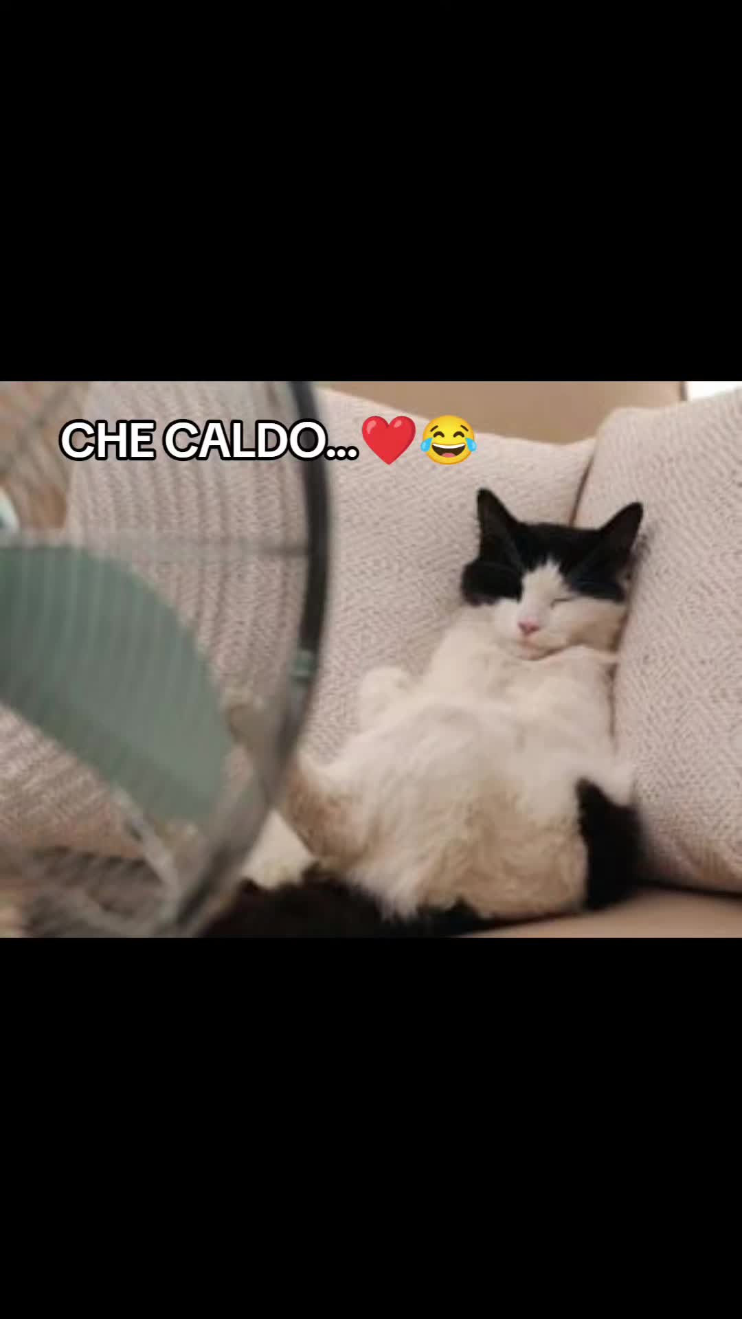 @Fontanella Nicoletta