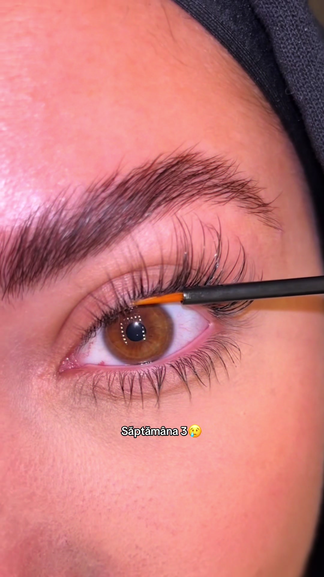 @Lash By Maya Romania Official
