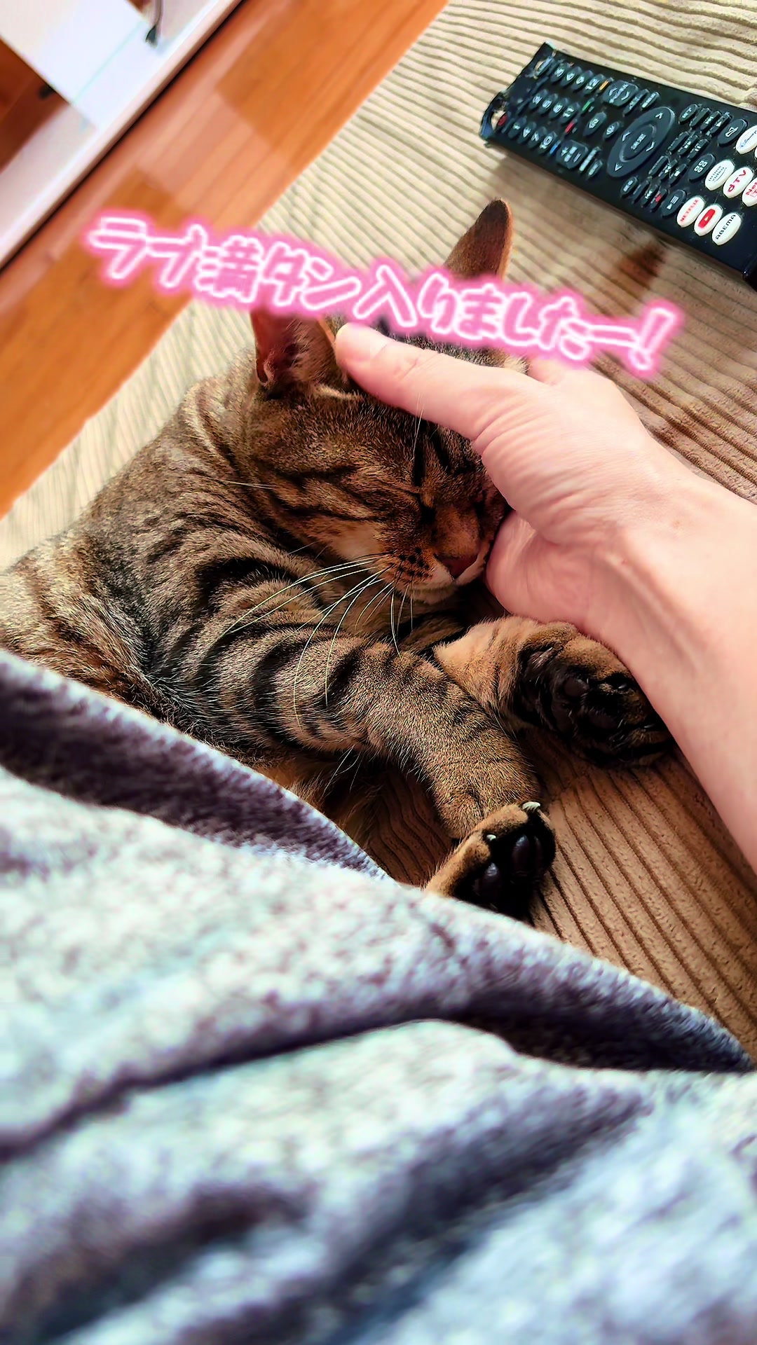 @ねこぷにもふ|ホワイトシェパードのハクちゃん