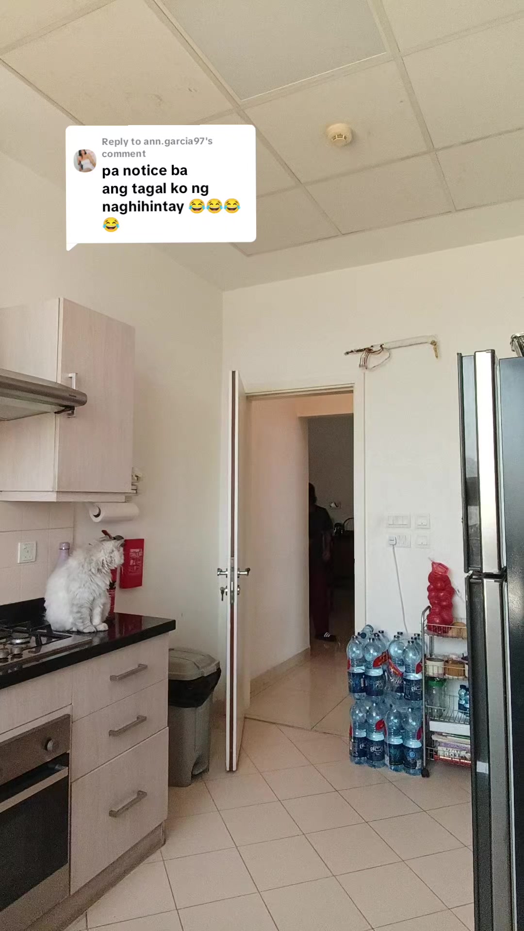@Sinaing_Mo