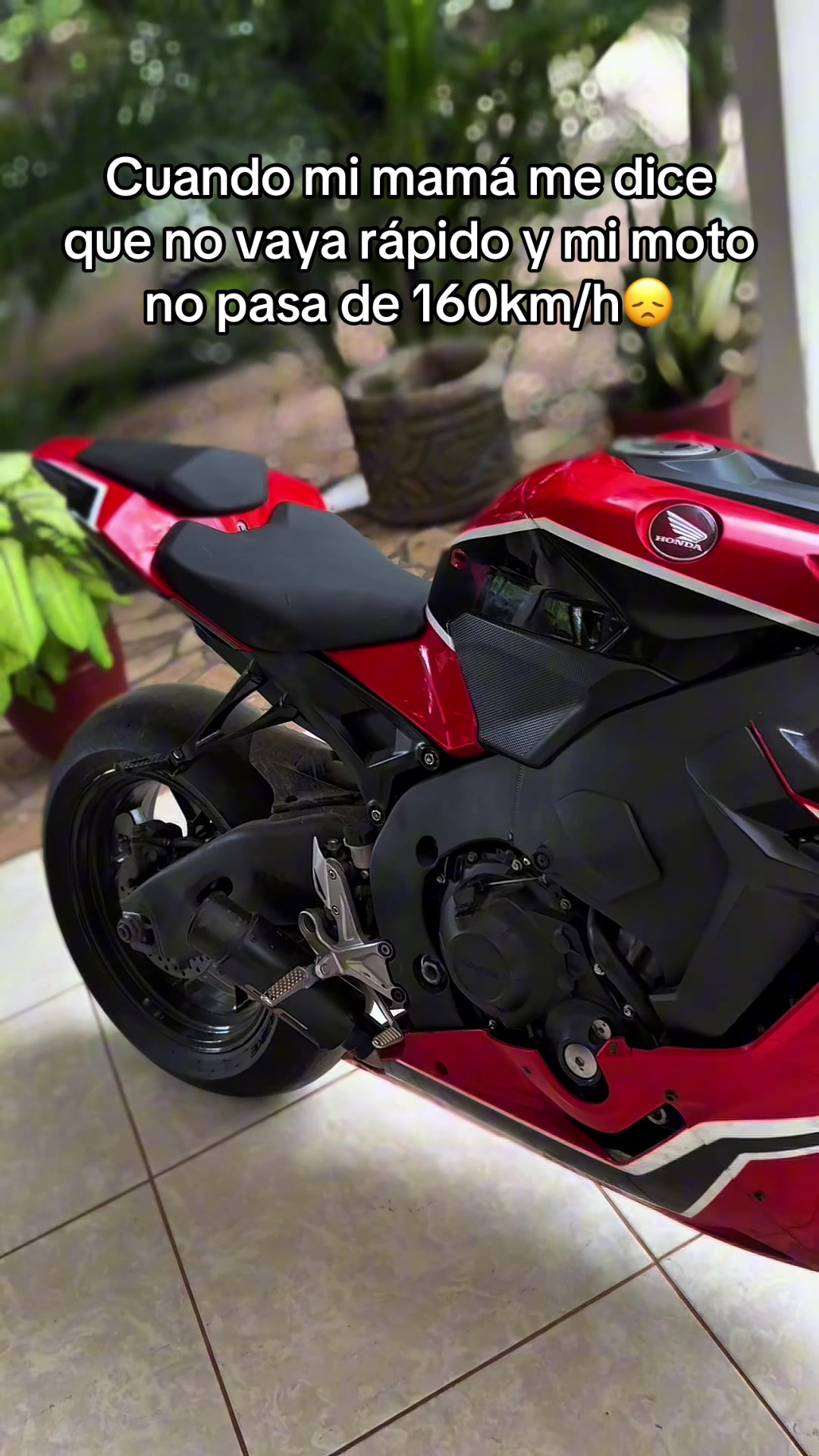 @𝐑𝐀𝐌𝐎𝐒 GT19