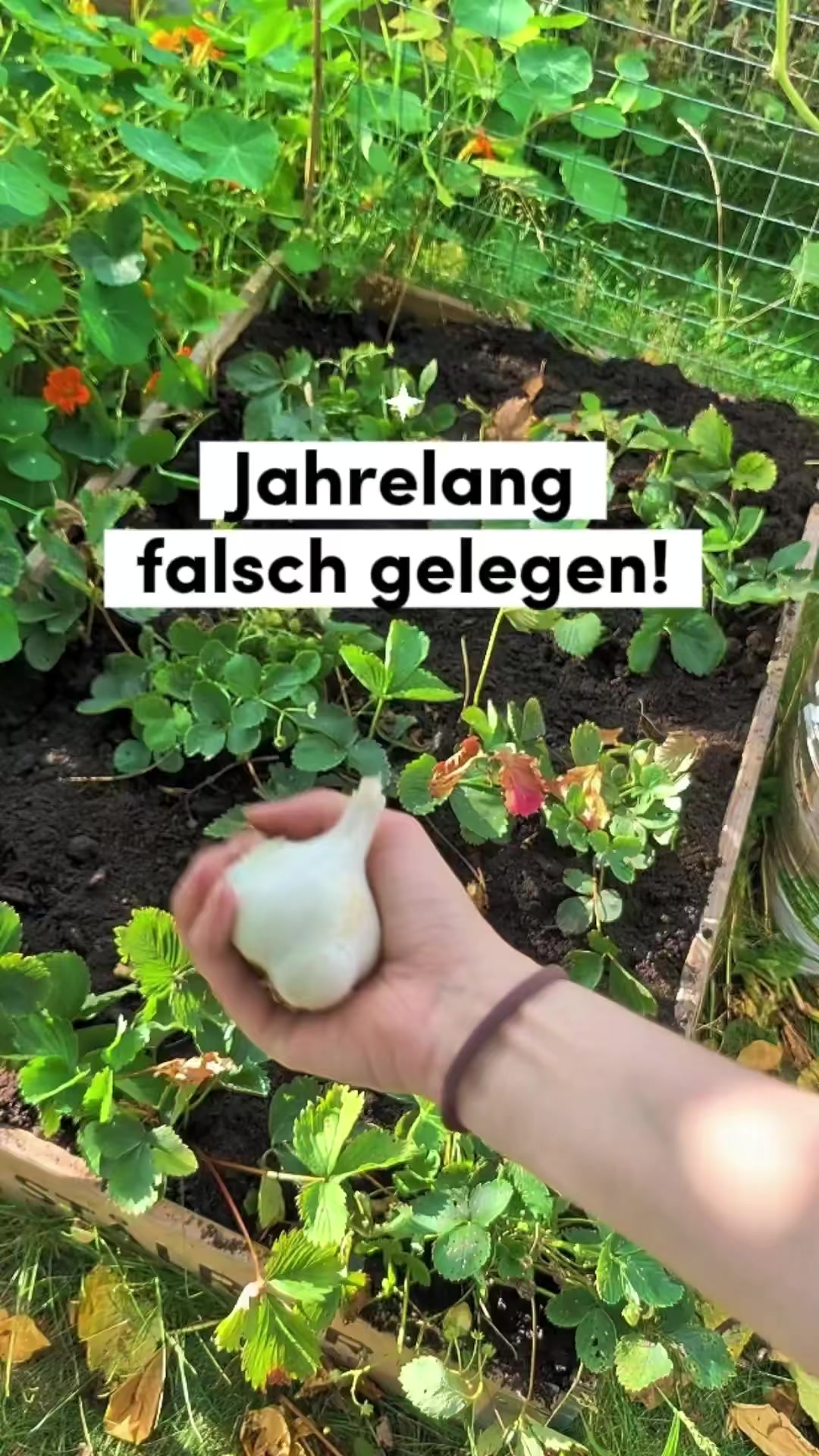 @ErnteExperte